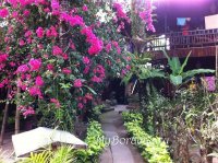 Orchids Resort